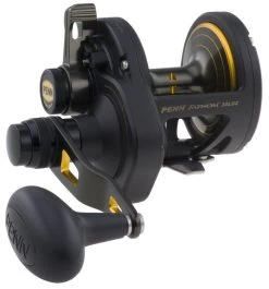 PENN - FATHOM™ - LEVER DRAG 2-SPEED SERIE