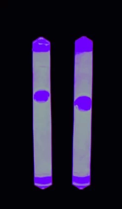 Behr EUROlite Knicklicht 5x 2er Packung 12 Behr EUROlite Knicklicht 5x 2er Packung -Angelausrüstung Behr EUROlite Knicklicht pinkbQOHlNhWiPI30 1280x1280